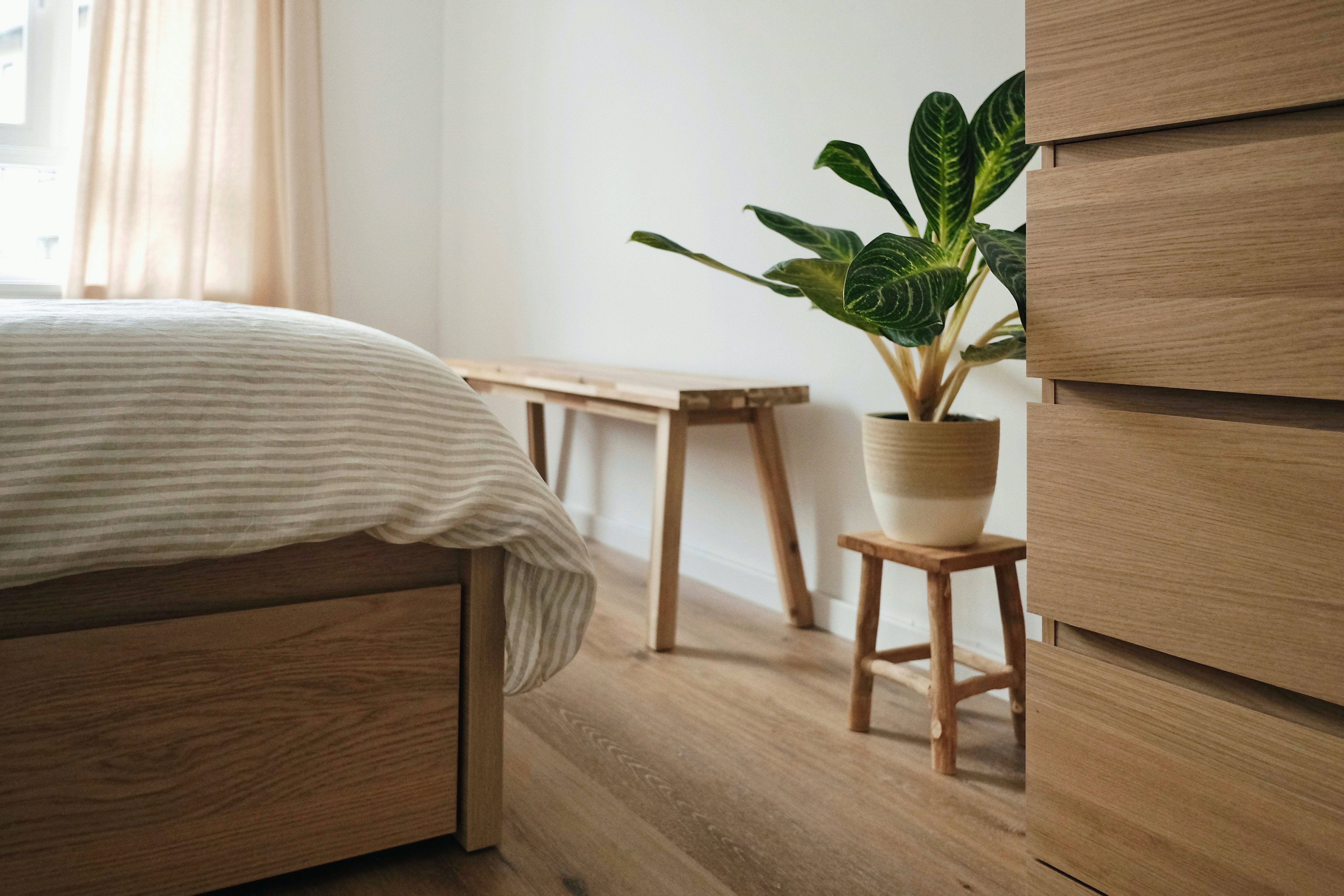 Image of a potted plant, bed, and shelves in a bedroom
